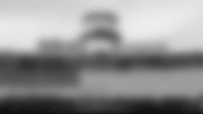 Activities & Downloads