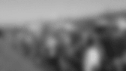 Fan Activations & Contests